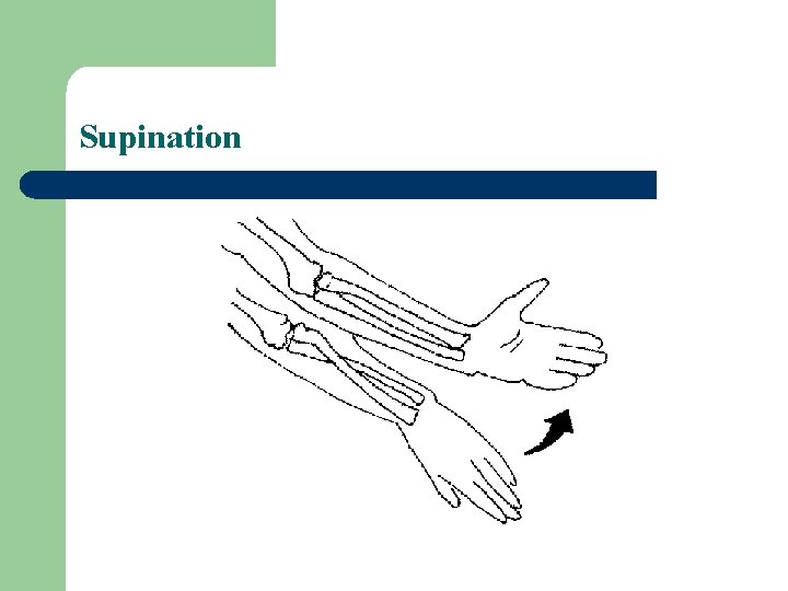 Supination 