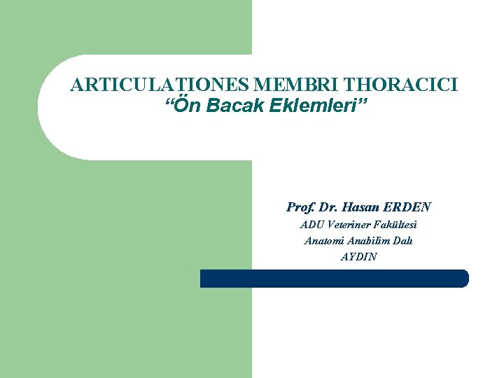 ARTICULATIONES MEMBRI THORACICI “Ön Bacak Eklemleri” Prof. Dr. Hasan ERDEN ADU Veteriner Fakültesi Anatomi