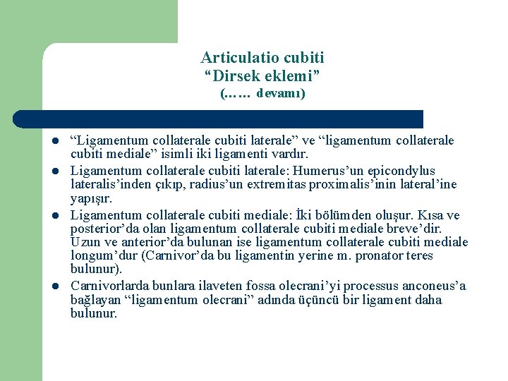 Articulatio cubiti “Dirsek eklemi” (…… devamı) l l “Ligamentum collaterale cubiti laterale” ve “ligamentum