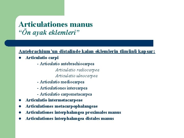 Articulationes manus “Ön ayak eklemleri” Antebrachium’un distalinde kalan eklemlerin tümünü kapsar: l l l