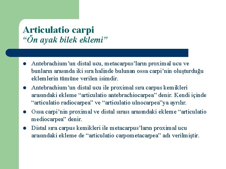 Articulatio carpi “Ön ayak bilek eklemi” l l Antebrachium’un distal ucu, metacarpus’ların proximal ucu