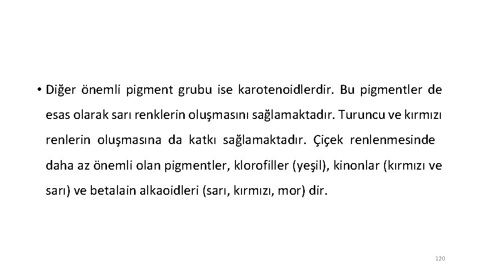  • Diğer önemli pigment grubu ise karotenoidlerdir. Bu pigmentler de esas olarak sarı