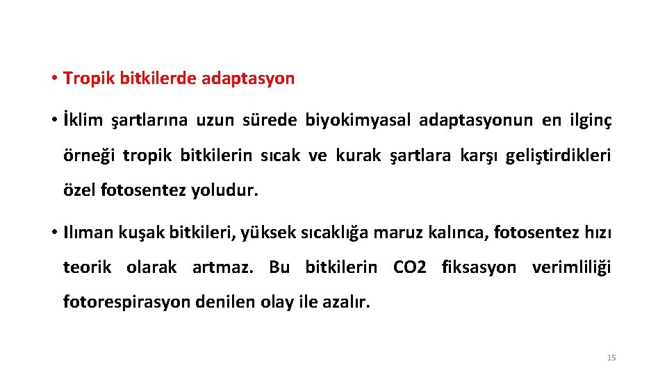  • Tropik bitkilerde adaptasyon • İklim şartlarına uzun sürede biyokimyasal adaptasyonun en ilginç