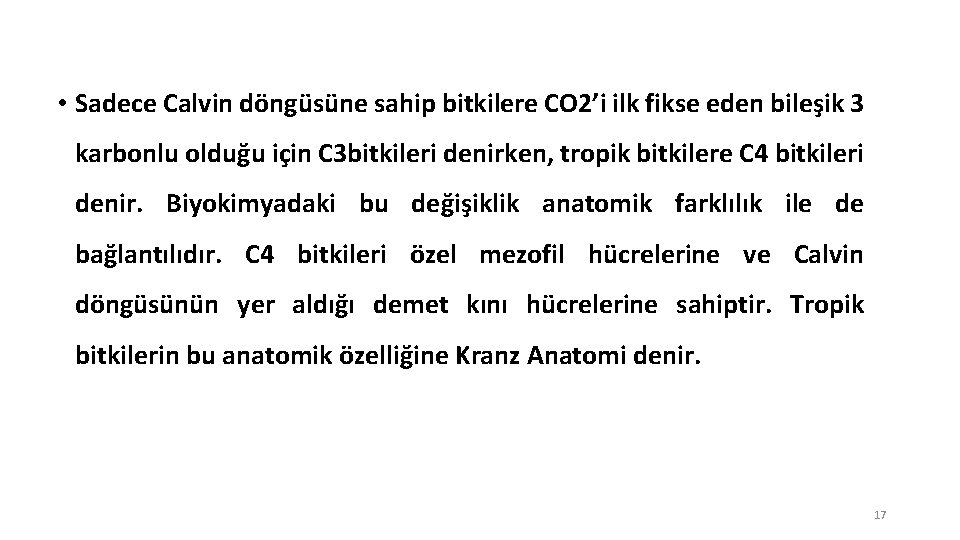  • Sadece Calvin döngüsüne sahip bitkilere CO 2’i ilk fikse eden bileşik 3