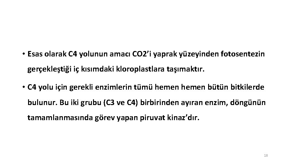  • Esas olarak C 4 yolunun amacı CO 2’i yaprak yüzeyinden fotosentezin gerçekleştiği