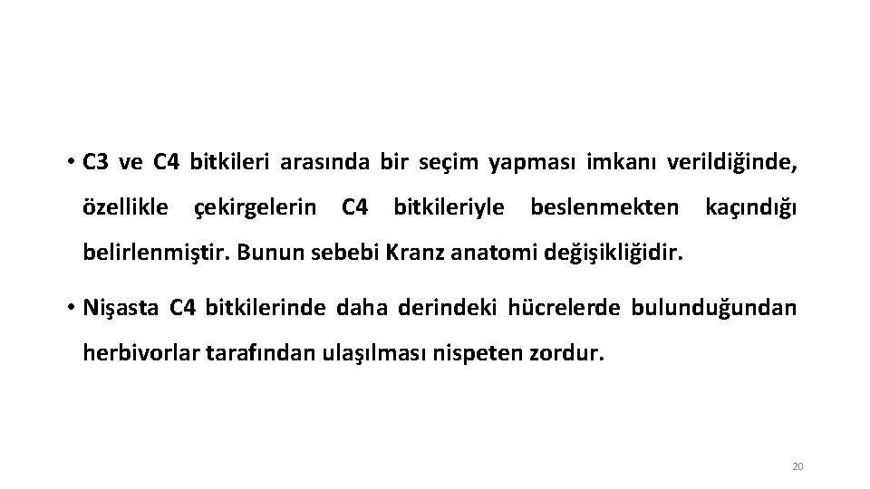  • C 3 ve C 4 bitkileri arasında bir seçim yapması imkanı verildiğinde,