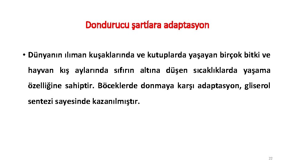 Dondurucu şartlara adaptasyon • Dünyanın ılıman kuşaklarında ve kutuplarda yaşayan birçok bitki ve hayvan