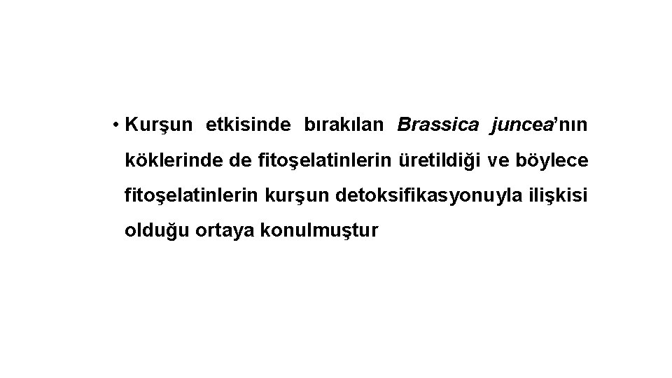  • Kurşun etkisinde bırakılan Brassica juncea’nın köklerinde de fitoşelatinlerin üretildiği ve böylece fitoşelatinlerin