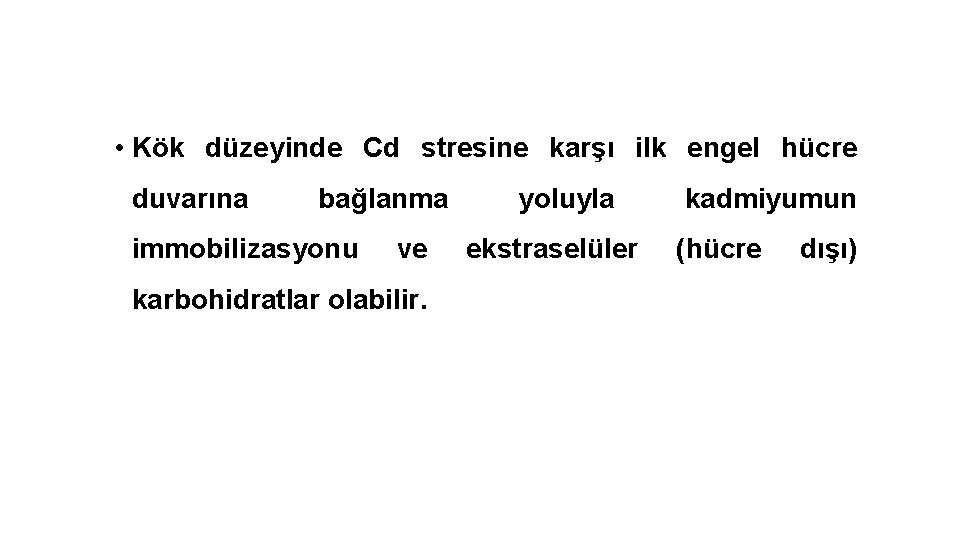  • Kök düzeyinde Cd stresine karşı ilk engel hücre duvarına bağlanma immobilizasyonu ve