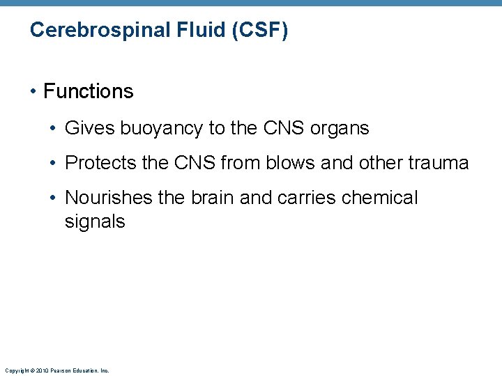 Cerebrospinal Fluid (CSF) • Functions • Gives buoyancy to the CNS organs • Protects