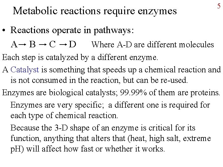 Metabolic reactions require enzymes 5 • Reactions operate in pathways: A B C D