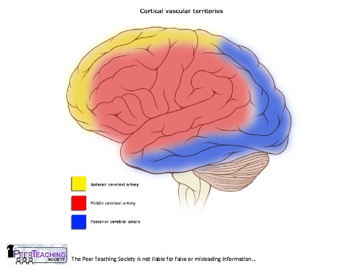 The Peer Teaching Society is not liable for false or misleading information… 