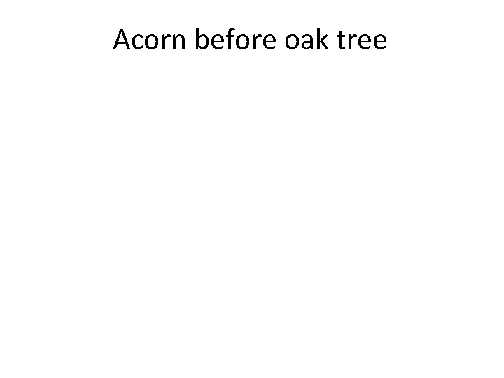 Acorn before oak tree 