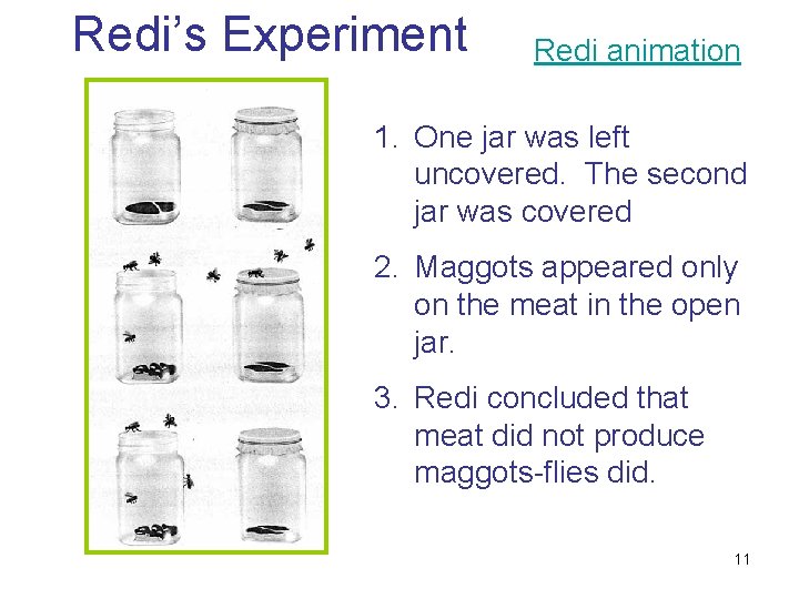 Redi’s Experiment Redi animation 1. One jar was left uncovered. The second jar was
