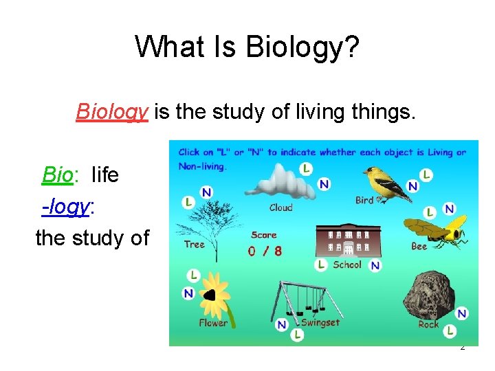 What Is Biology? Biology is the study of living things. Bio: life -logy: the