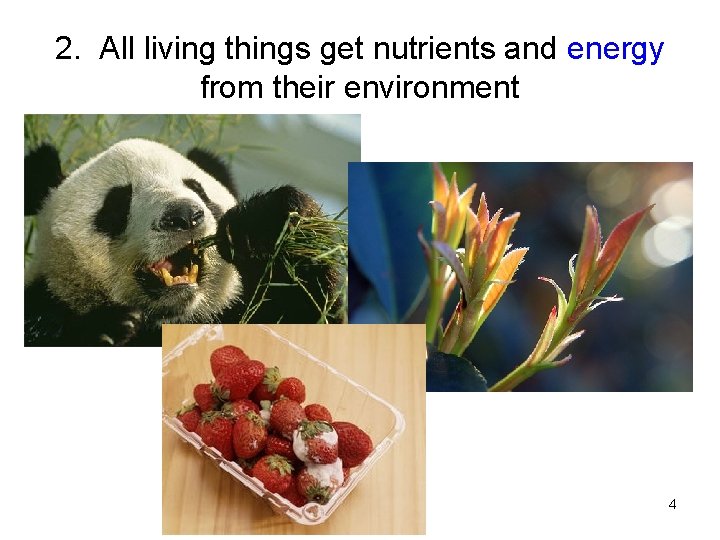 2. All living things get nutrients and energy from their environment 4 