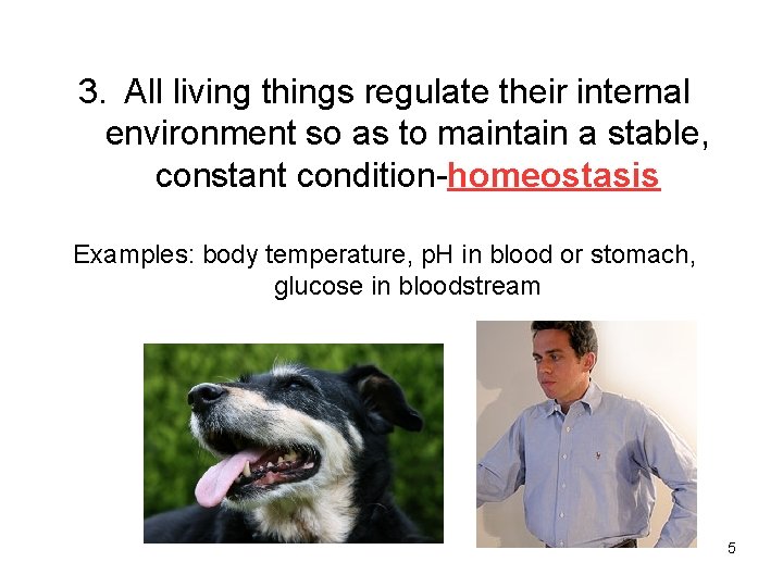 3. All living things regulate their internal environment so as to maintain a stable,