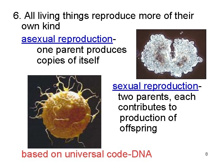 6. All living things reproduce more of their own kind asexual reproduction…. . one