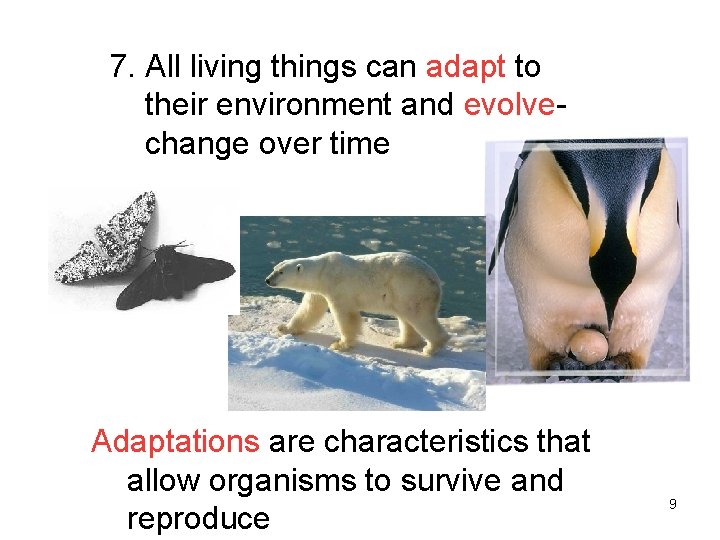 7. All living things can adapt to their environment and evolvechange over time Adaptations