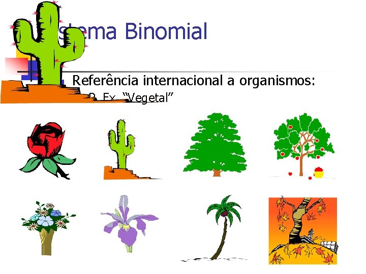 Sistema Binomial n Referência internacional a organismos: n P. Ex. “Vegetal” 