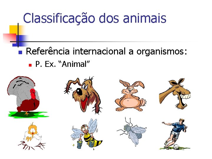 Classificação dos animais n Referência internacional a organismos: n P. Ex. “Animal” 