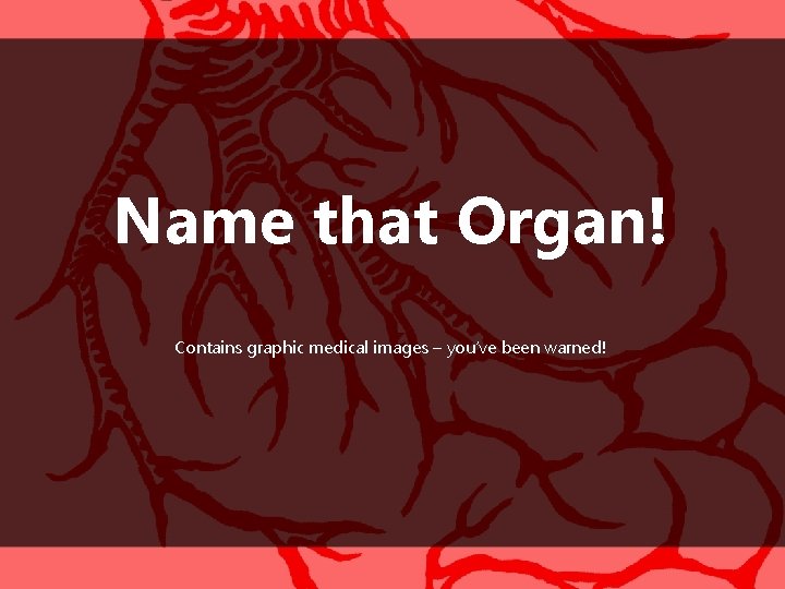 Name that Organ! Contains graphic medical images – you’ve been warned! 