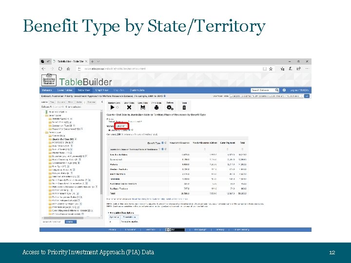 Benefit Type by State/Territory Access to Priority Investment Approach (PIA) Data 12 