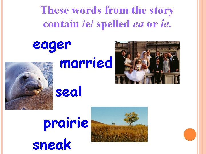These words from the story contain /e/ spelled ea or ie. eager married seal