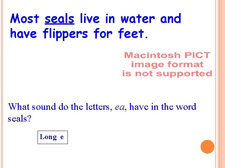 Most seals live in water and have flippers for feet. What sound do the