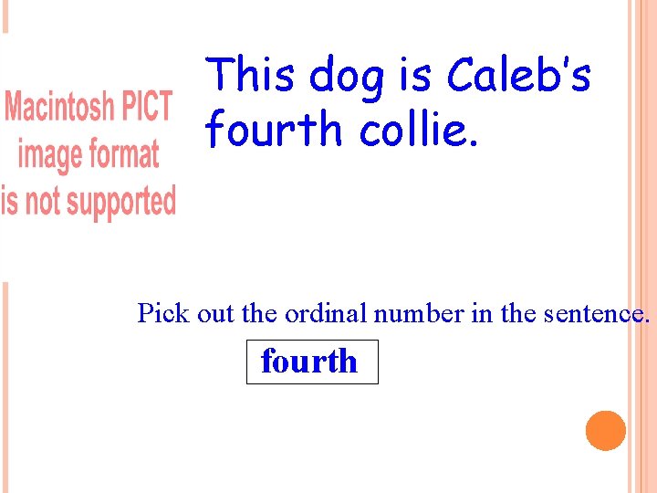 This dog is Caleb’s fourth collie. Pick out the ordinal number in the sentence.