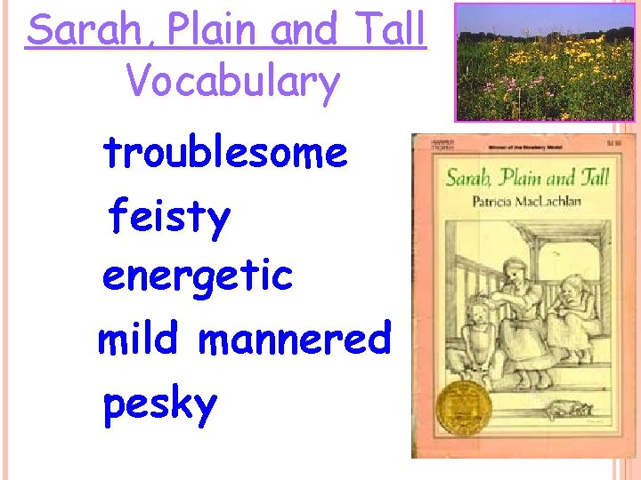 Sarah, Plain and Tall Vocabulary troublesome feisty energetic mild mannered pesky 