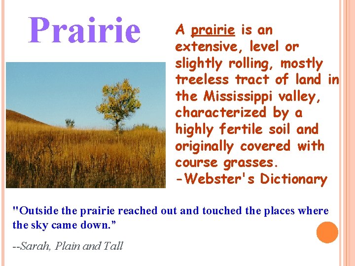 Prairie A prairie is an extensive, level or slightly rolling, mostly treeless tract of