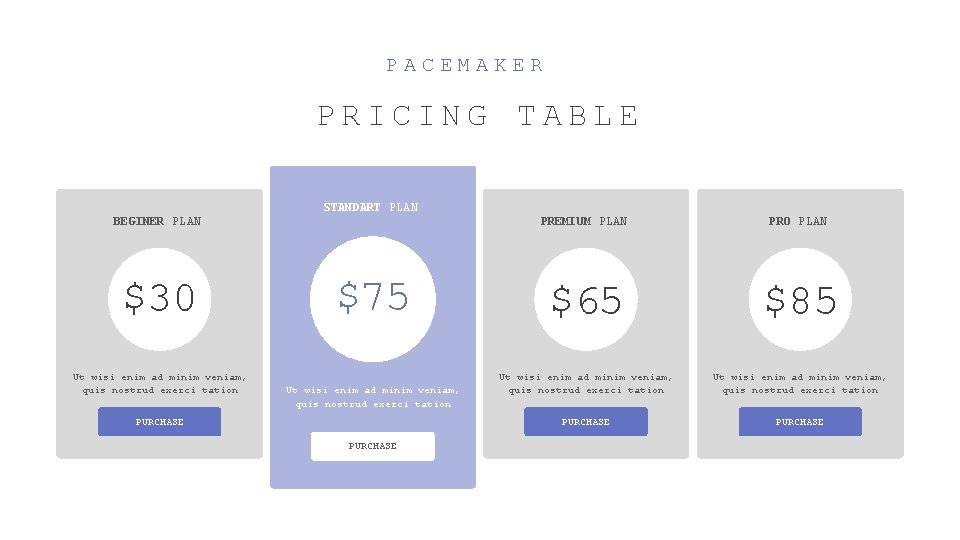 PACEMAKER PRICING TABLE STANDART PLAN BEGINER PLAN $30 Ut wisi enim ad minim veniam,