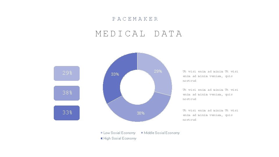 PACEMAKER MEDICAL DATA 29% 33% Ut wisi enim ad minim veniam, quis nostrud 38%