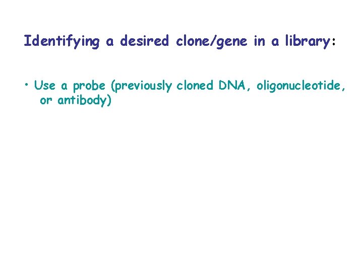 Identifying a desired clone/gene in a library: • Use a probe (previously cloned DNA,