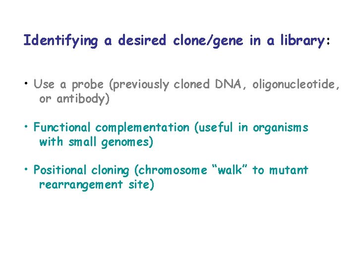 Identifying a desired clone/gene in a library: • Use a probe (previously cloned DNA,