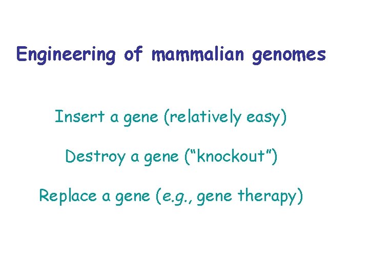 Engineering of mammalian genomes Insert a gene (relatively easy) Destroy a gene (“knockout”) Replace