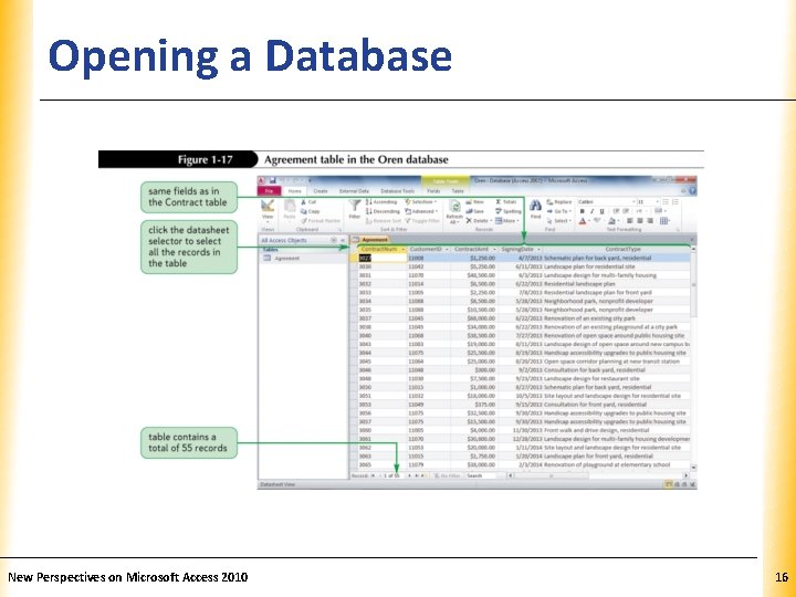 Opening a Database New Perspectives on Microsoft Access 2010 XP 16 