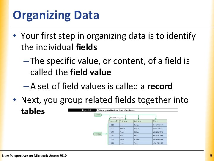 Organizing Data XP • Your first step in organizing data is to identify the