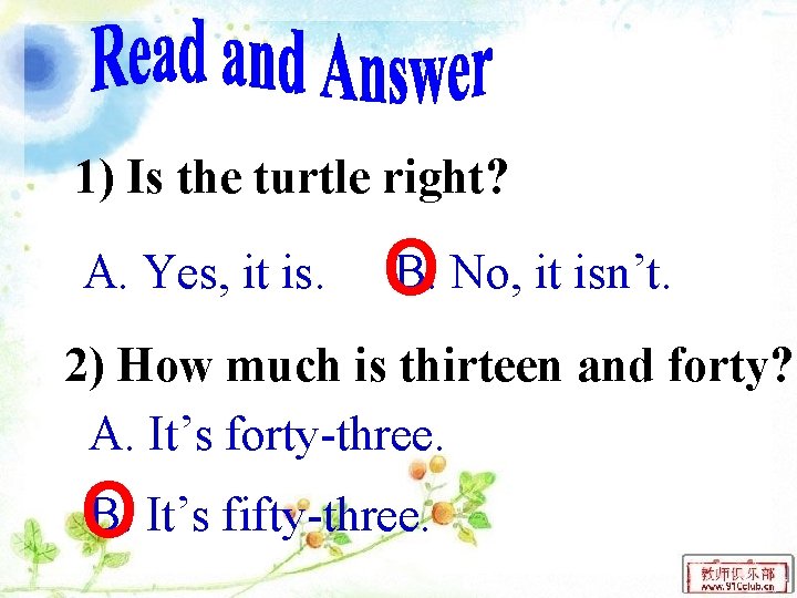 1) Is the turtle right? A. Yes, it is. o. B. No, it isn’t.