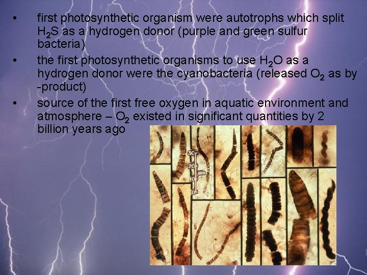  • • • first photosynthetic organism were autotrophs which split H 2 S