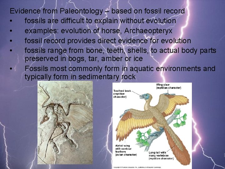 Evidence from Paleontology – based on fossil record • fossils are difficult to explain