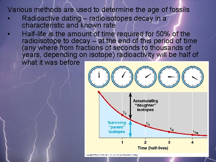 Various methods are used to determine the age of fossils • Radioactive dating –