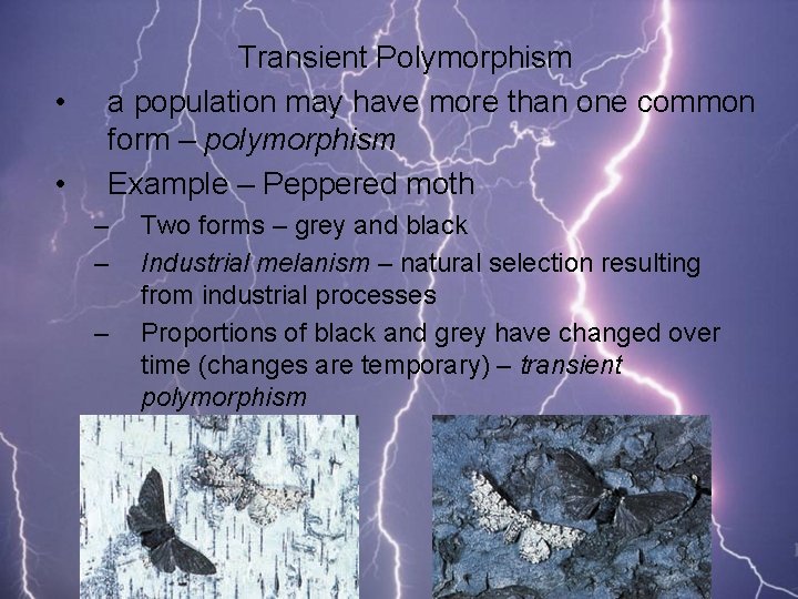  • • Transient Polymorphism a population may have more than one common form
