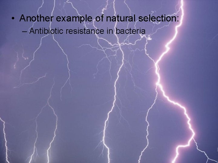  • Another example of natural selection: – Antibiotic resistance in bacteria 