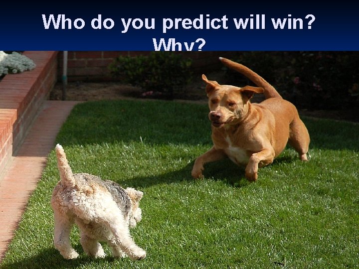 Who do you predict will win? Why? 