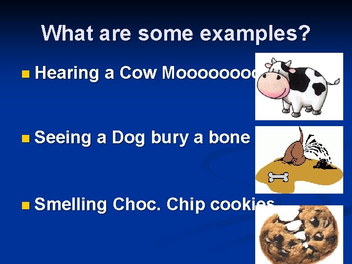 What are some examples? n Hearing n Seeing a Cow Mooooo a Dog bury