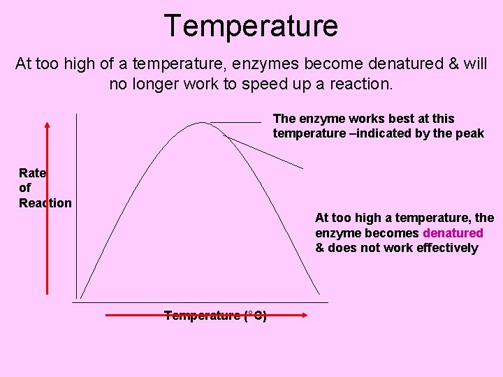 ENZYMES Why care about enzymes Enzymes are necessary