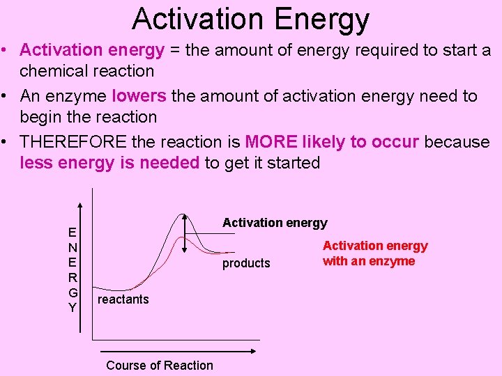 Activation Energy • Activation energy = the amount of energy required to start a