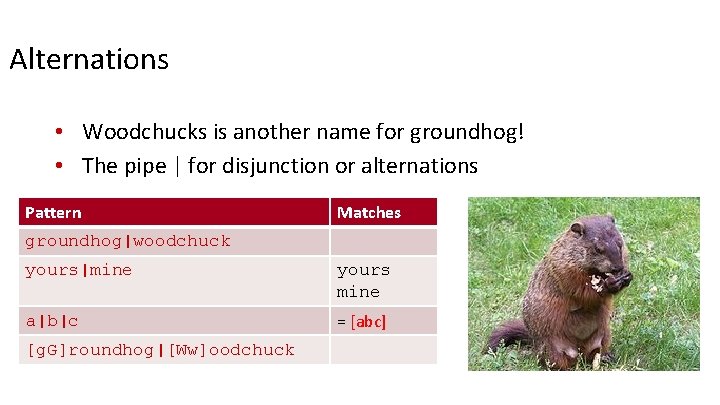 Alternations • Woodchucks is another name for groundhog! • The pipe | for disjunction